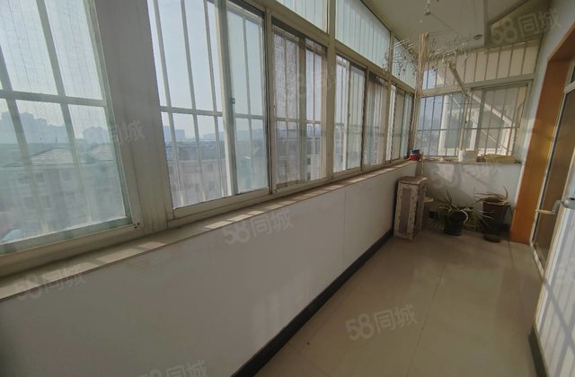 高新区文轩东校！157平大三室双卫双阳台！凤凰新城带30平储