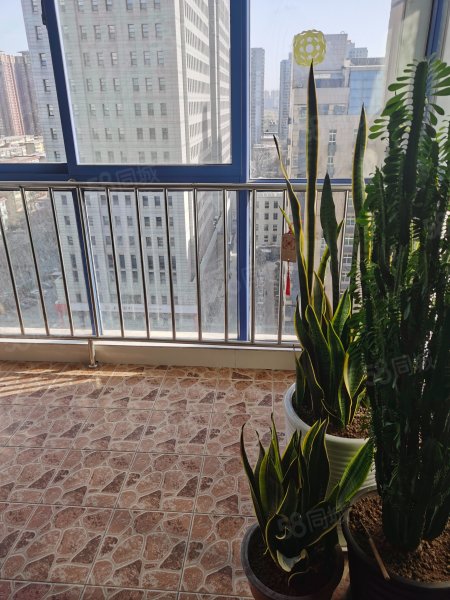 时代明丰苑2室2厅1卫101㎡东128万