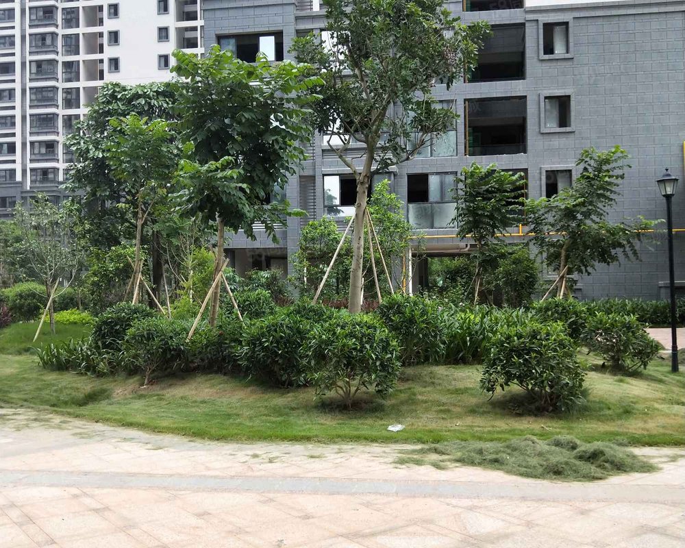 【五象丽景, 五象丽景小区详情,房价走势,房源,业主论坛】- 南宁58