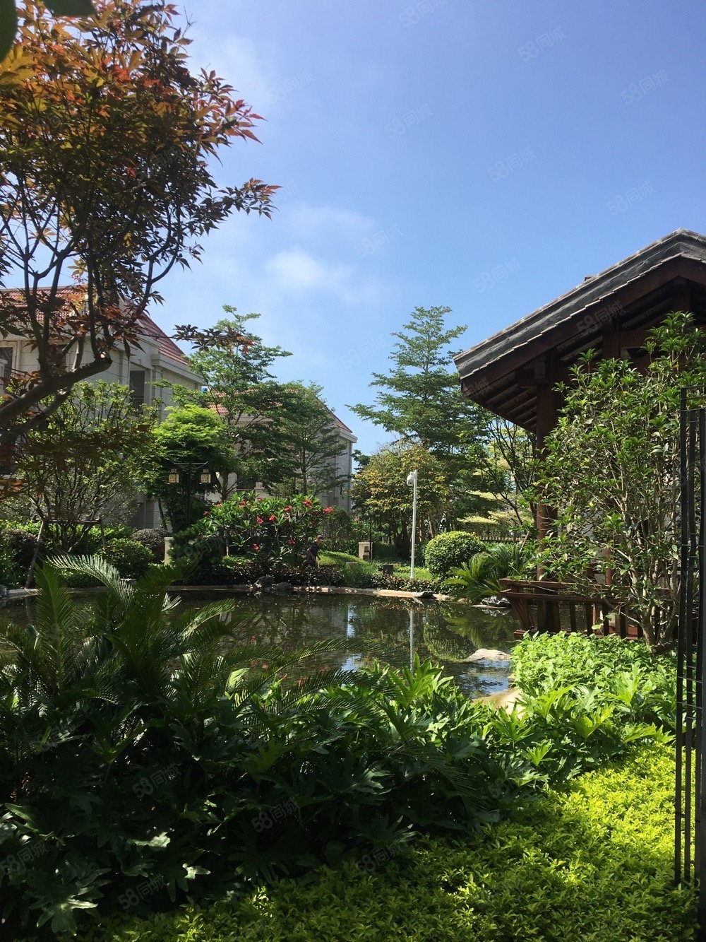 【10图】翔安隧道口世茂御海墅,世茂御海墅(公寓住宅)-厦门58同城