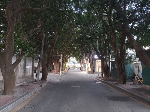 黄厝村(塔头)房屋出租,黄厝村(塔头)二手房出售】- 厦门58同城