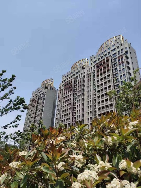 观澜文苑 胶州上合示范区 一期现房 之选 邻跨海大桥