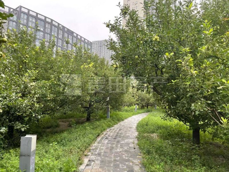 蘋果社區(qū)(南區(qū))2室2廳2衛(wèi)96㎡北510萬