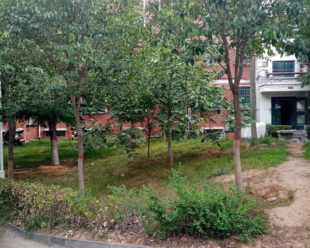 【东城花园(登封), 东城花园(登封)小区详情,房价走势,房源,业主论坛