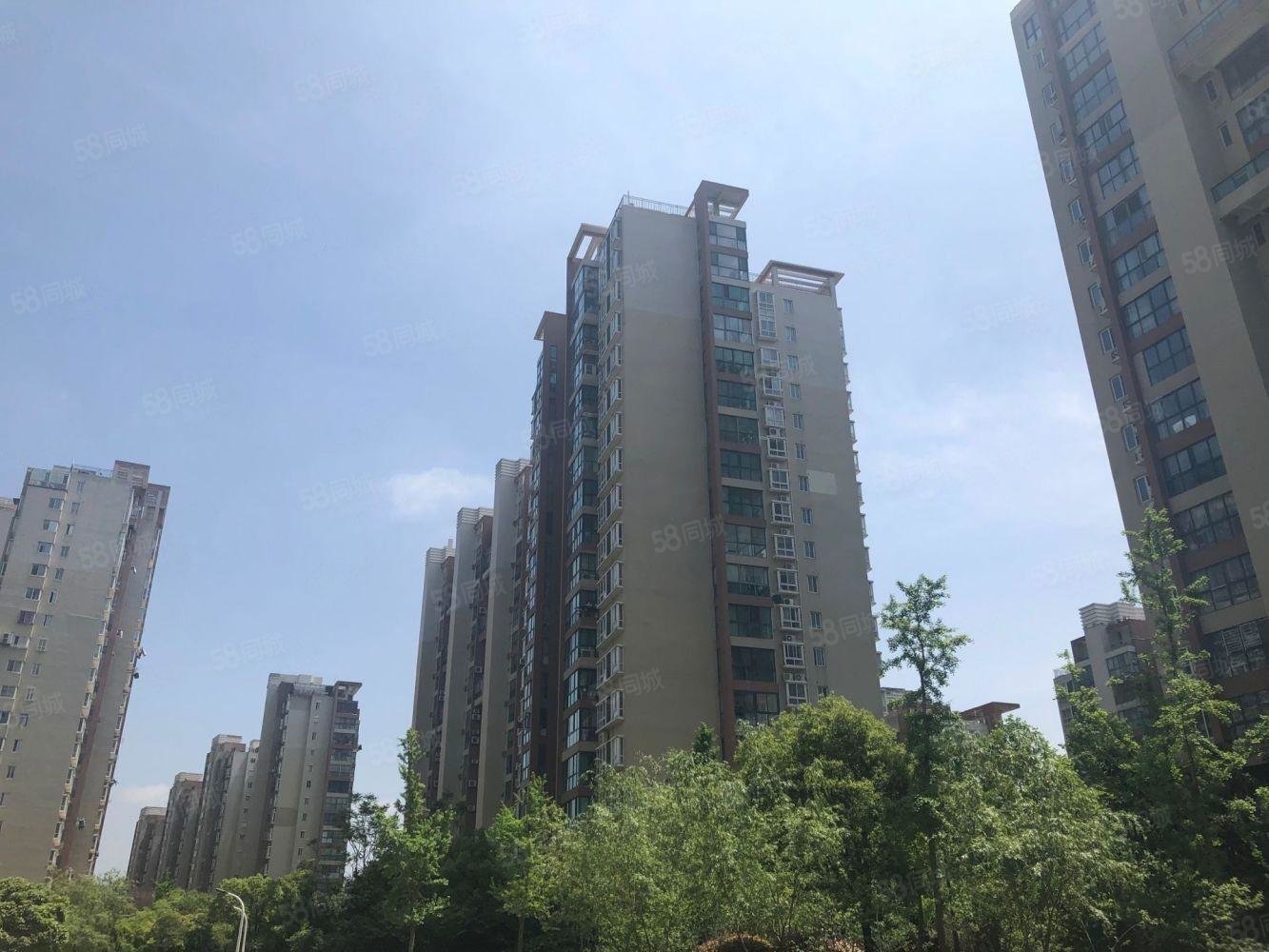 公园道1号装修好商圈成熟小区新小三房医疗配套成熟