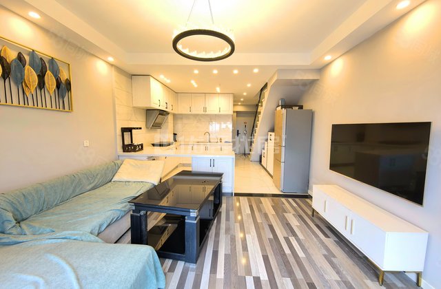 中天未来方舟D4组团(商住楼)2室1厅53㎡32万二手房图片