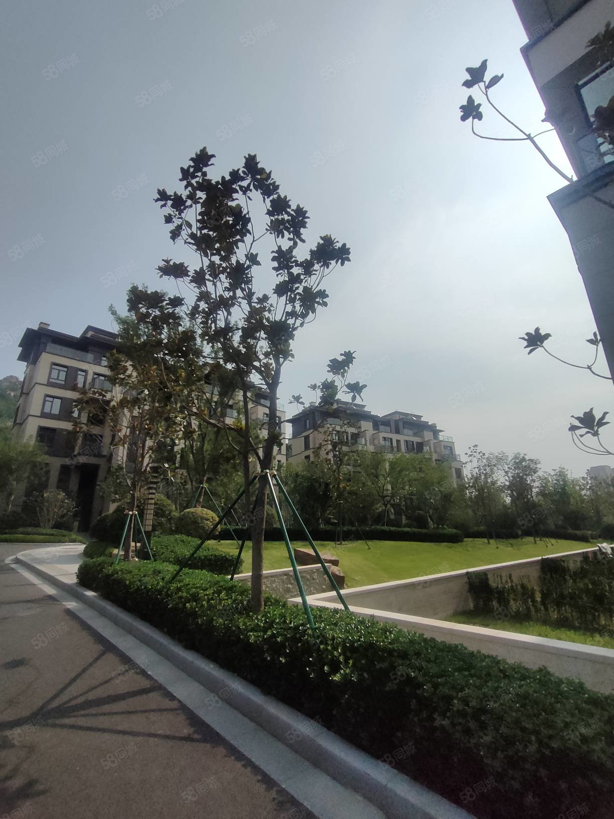 即得,鑫江瑞府-青岛58同城