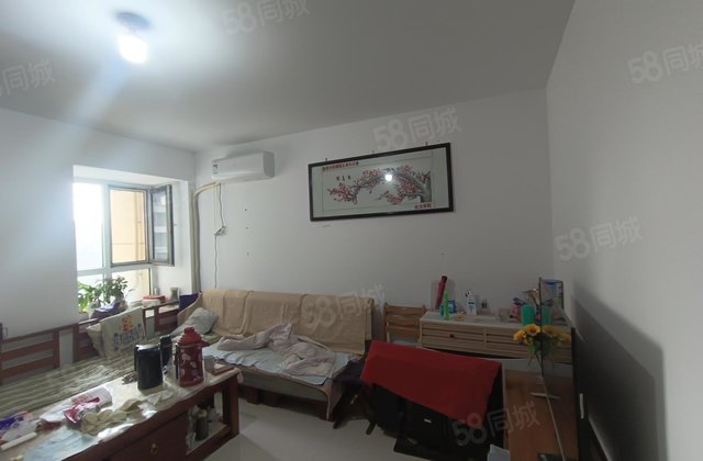 文轩总校，聊城大学，羡林苑，房龄新，两室，业主诚心出售