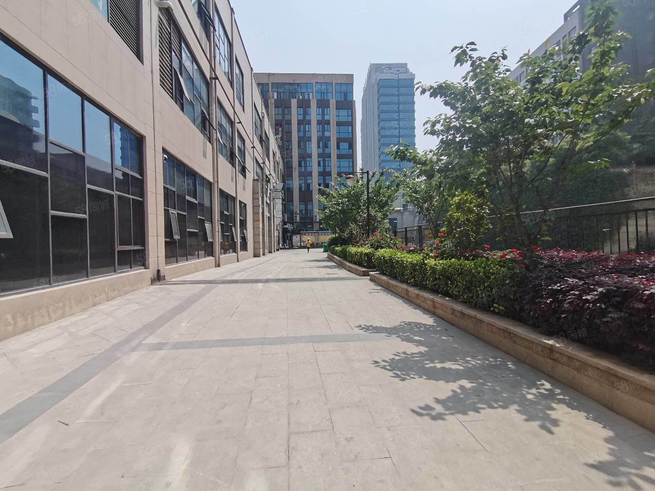 三堰太和医院侧门金座广场经典小三室电梯靓房556万