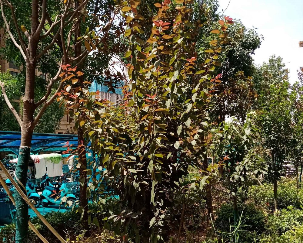 【锦龙花园, 锦龙花园小区详情,房价走势,房源,业主论坛】- 郑州58