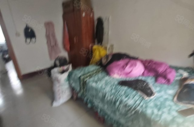 人民公园东门 活塞环家属院 孝心一楼带院 可按揭