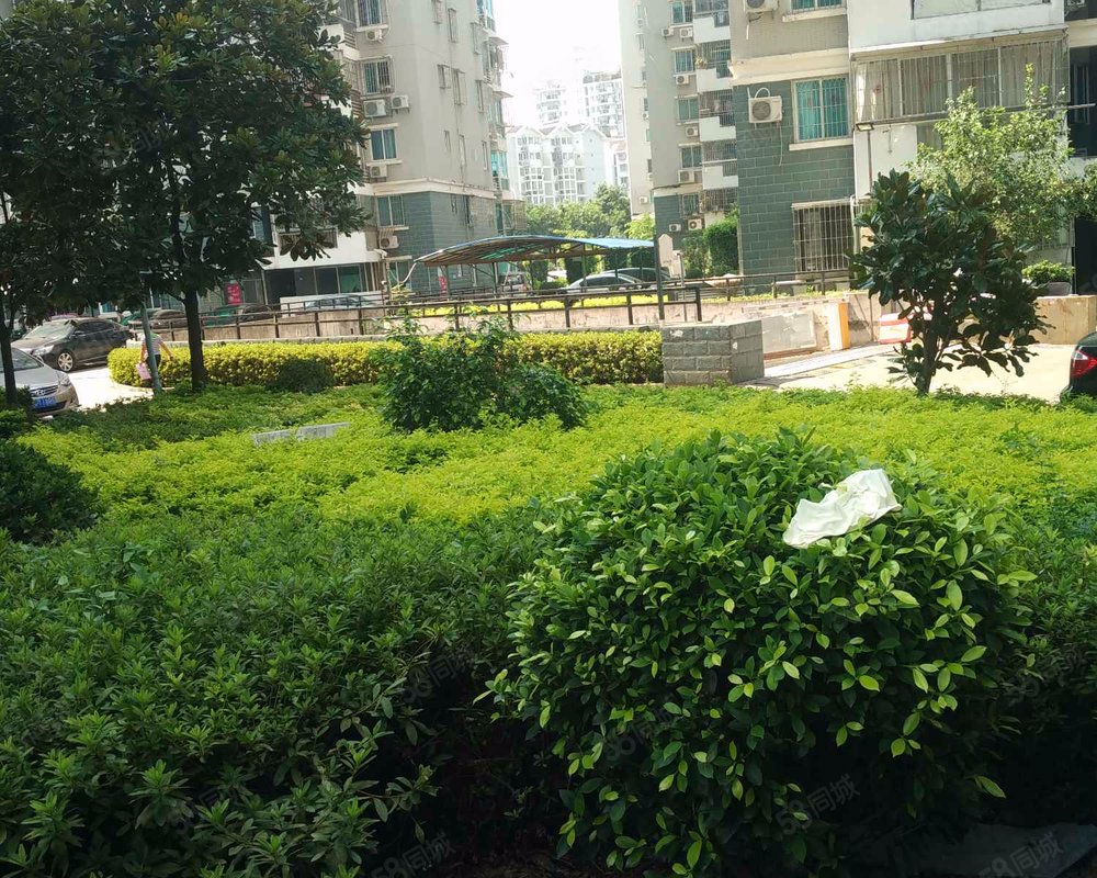 【西园雅居东区, 西园雅居东区小区详情,房价走势,房源,业主论坛】