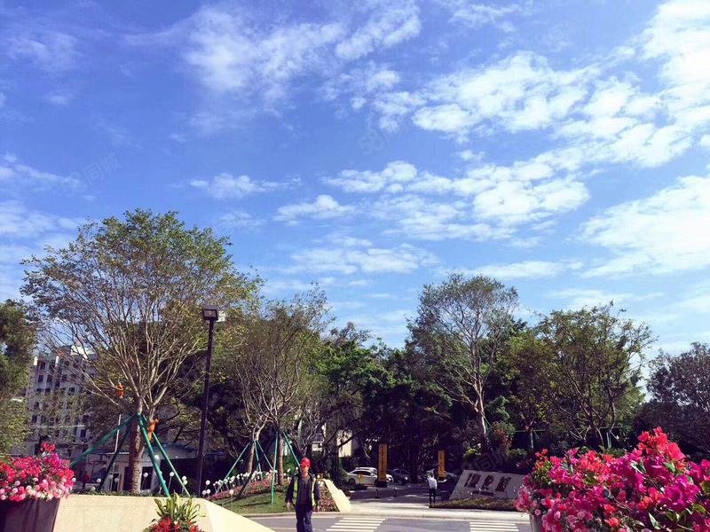 双高铁 楼下就是仲恺汽车站 沃尔玛商圈 看房接送,曙光路208号-深圳58