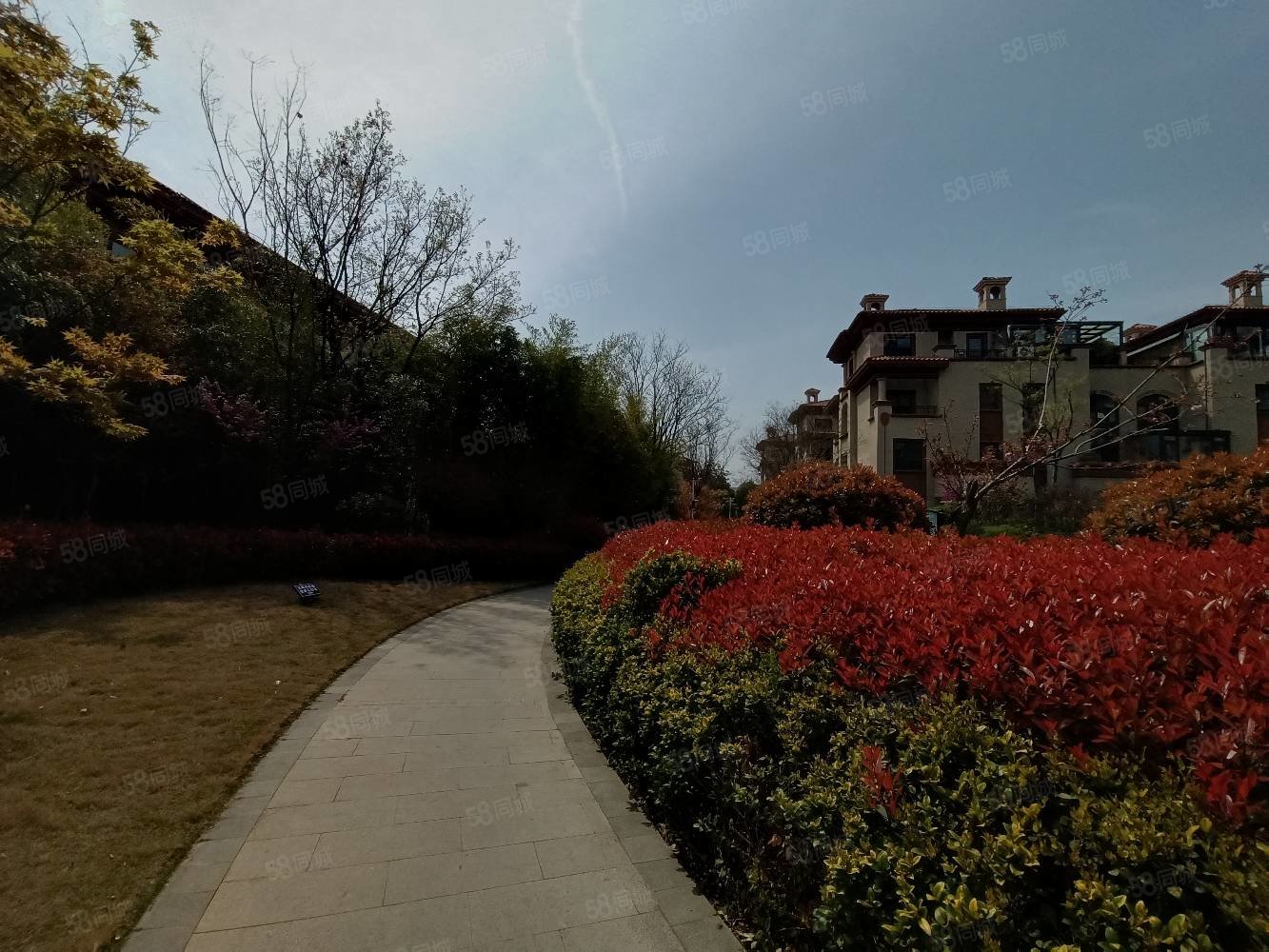 美盛白河湾(别墅)5室2厅3卫212㎡南北430万