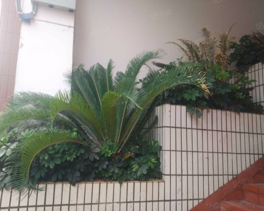 【东南花园房价走势,东南花园房屋出租,东南花园二手房出售】- 厦门58