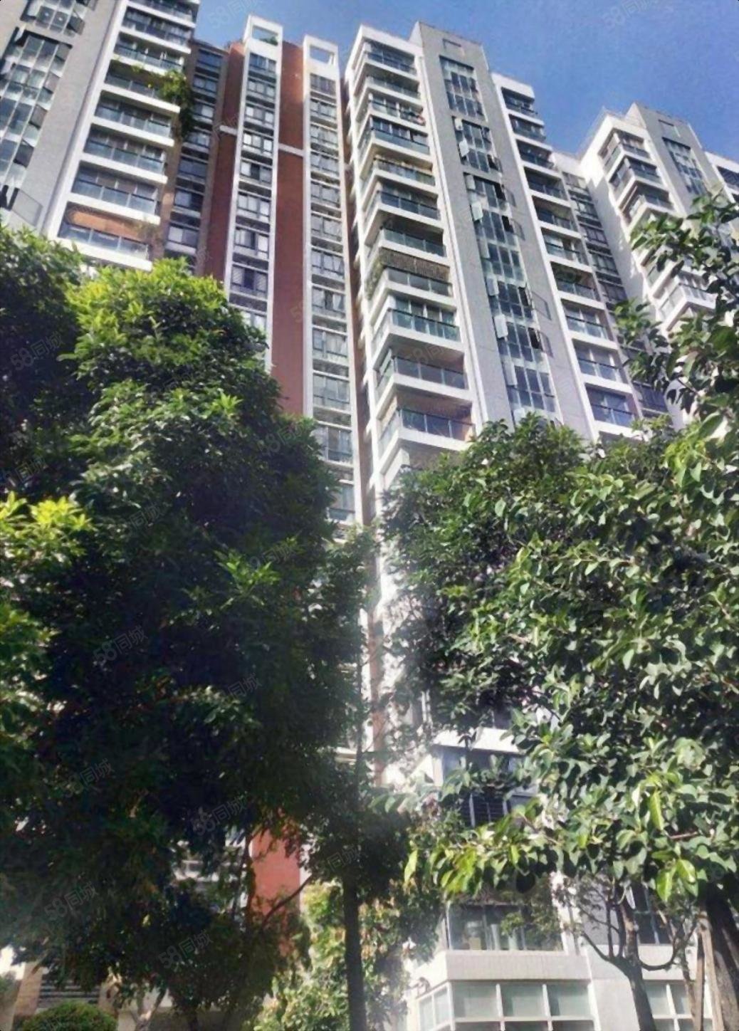 天华美地 4楼 正园心东南三面采光 正规3房带储藏室带双阳台