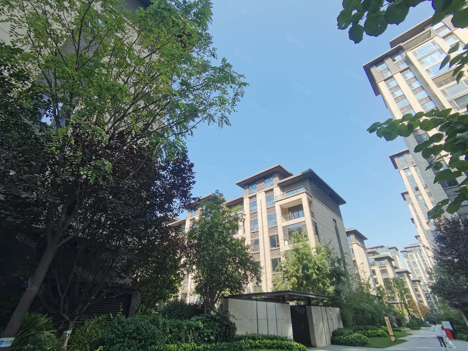 碧桂园国湖3室2厅2卫164.24㎡南北515万