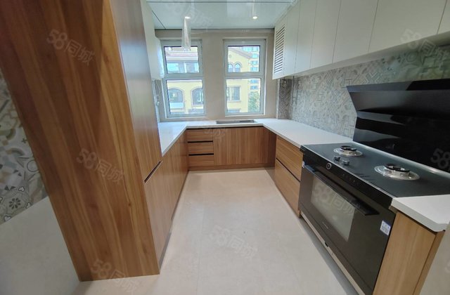 江北水镇(别墅) 密度低 带电梯 一口价199.9万