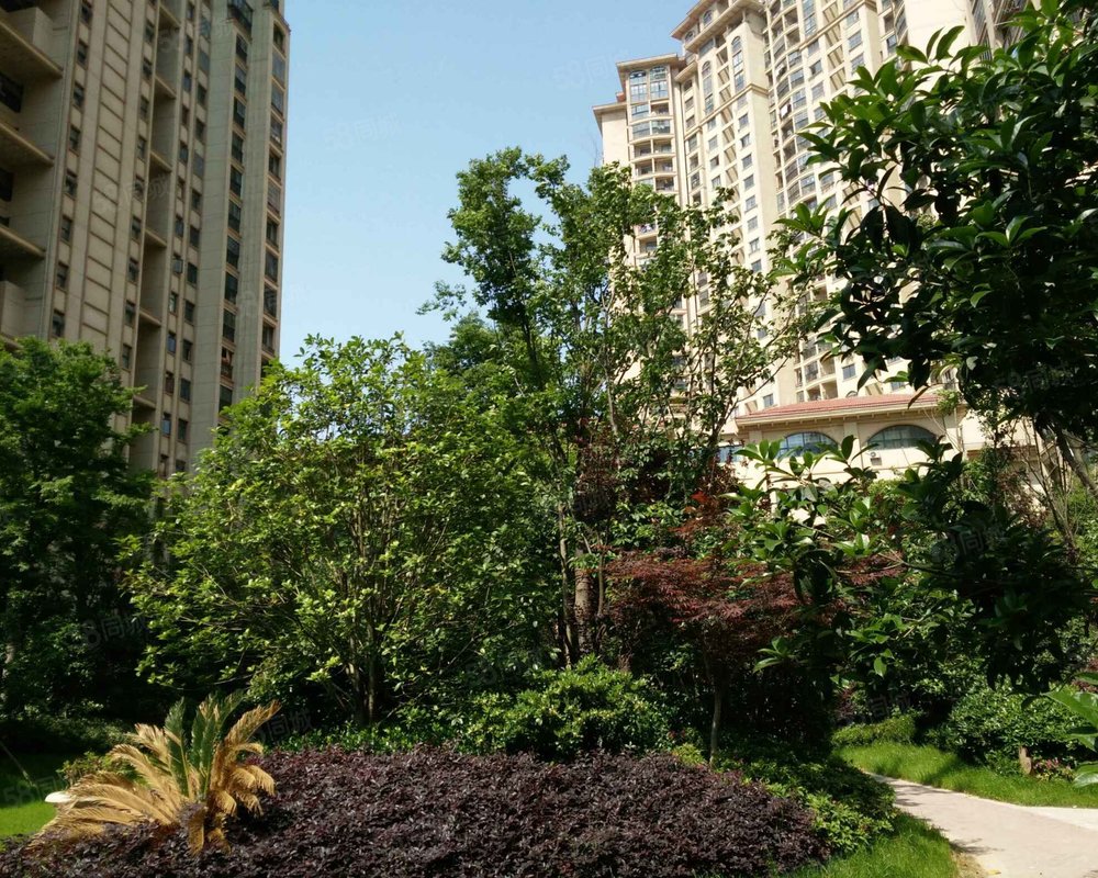 圣联梦溪小镇小区详情,房价走势,房源,业主论坛】- 合肥58同城