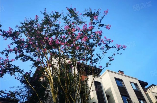 【重庆璧山精装房屋】-重庆58同城