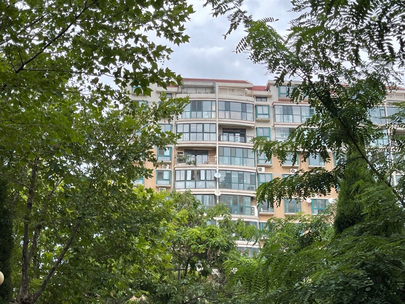 房主疯了三室两卫132还能谈带刀看房价格超惊喜星海花园