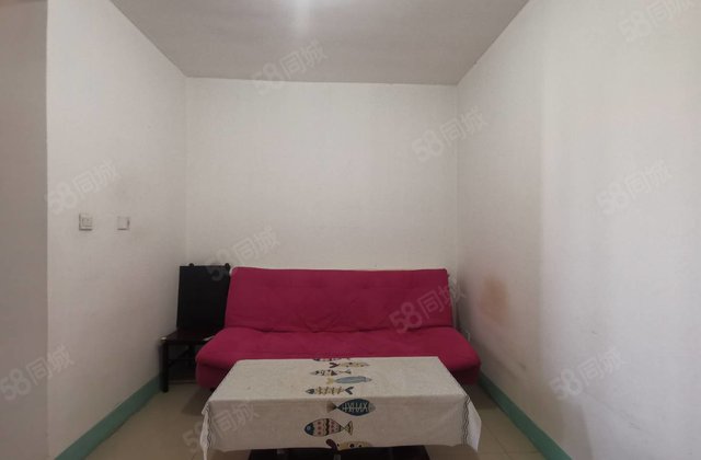 文轩 外国语 老一中 山水文园 状元楼 温馨两室 有钥匙