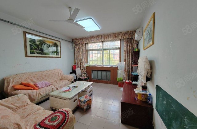 房东急售！妇幼南邻  楼层，三室，停车方便，