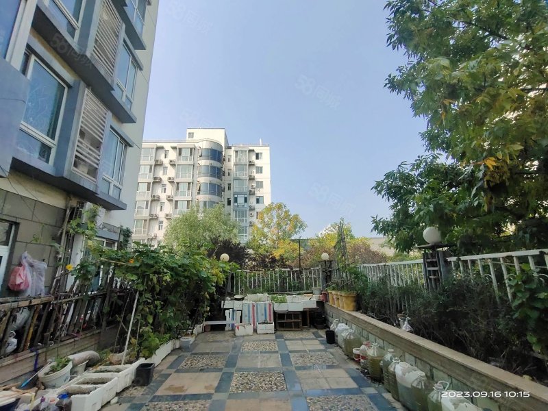 新华广场 电梯房 配套齐全 近医院 板楼 满五