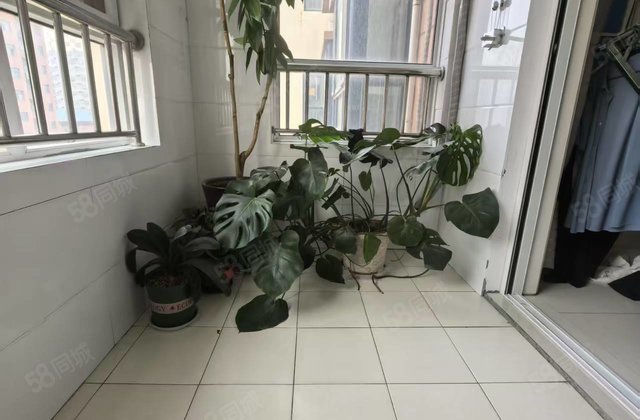 五中万达 电梯商品房 储藏室 楼层