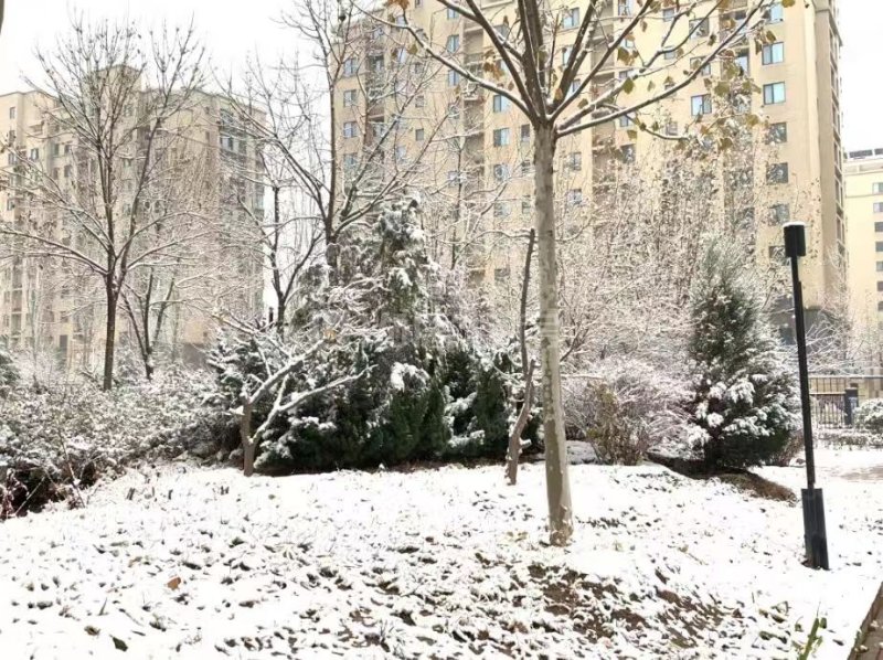 東亞印象臺(tái)湖2室1廳1衛(wèi)64㎡南165萬