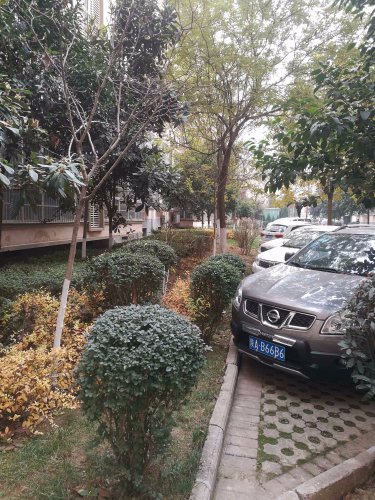 天酬苑四季花园