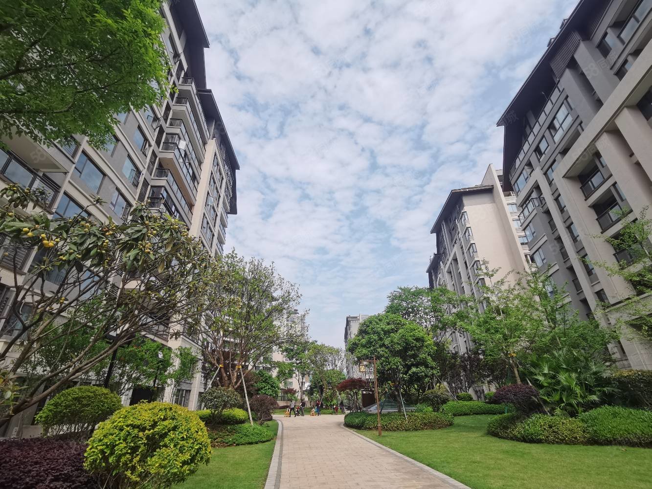 【10图】香桂府 一梯两户 有证 高端小区 七星区,兴进漓江郡府-桂林58