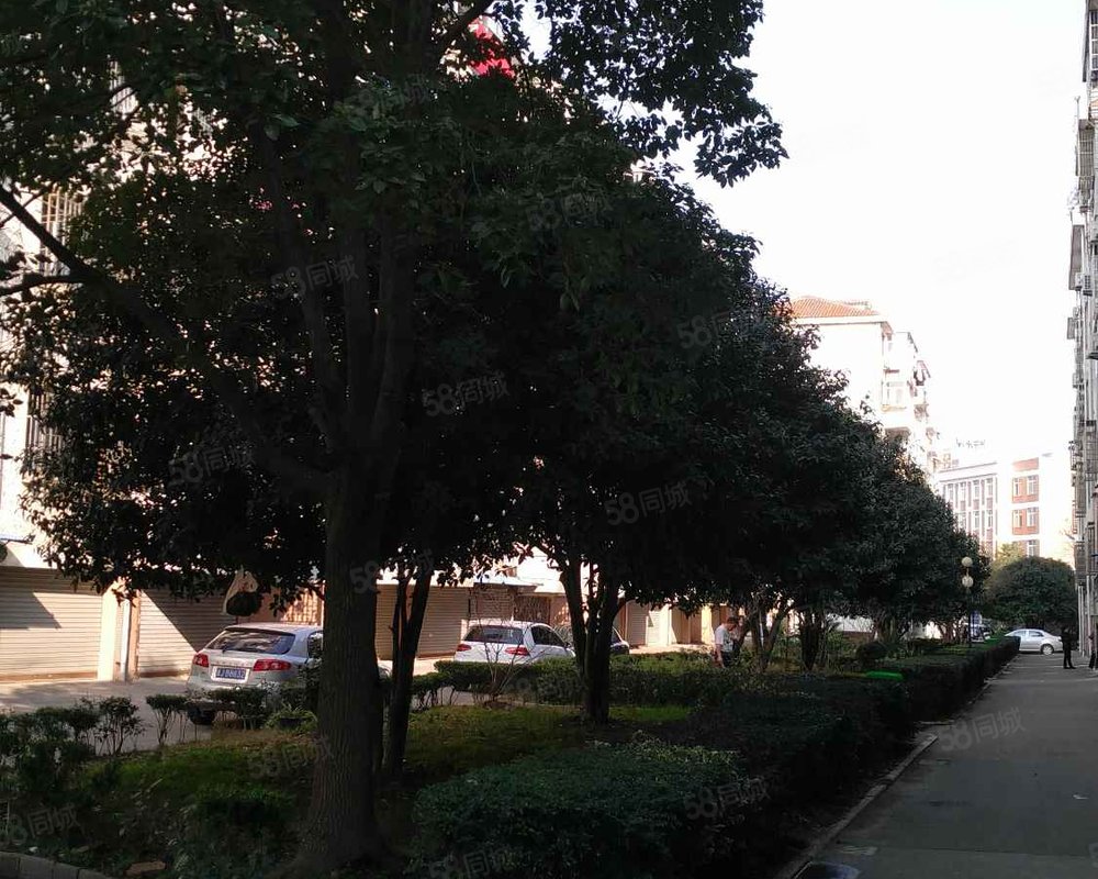 【三星小区, 三星小区小区详情,房价走势,房源,业主论坛】- 温岭58