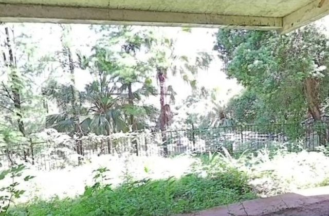 龙南翡翠城5室2厅319㎡150万二手房图片