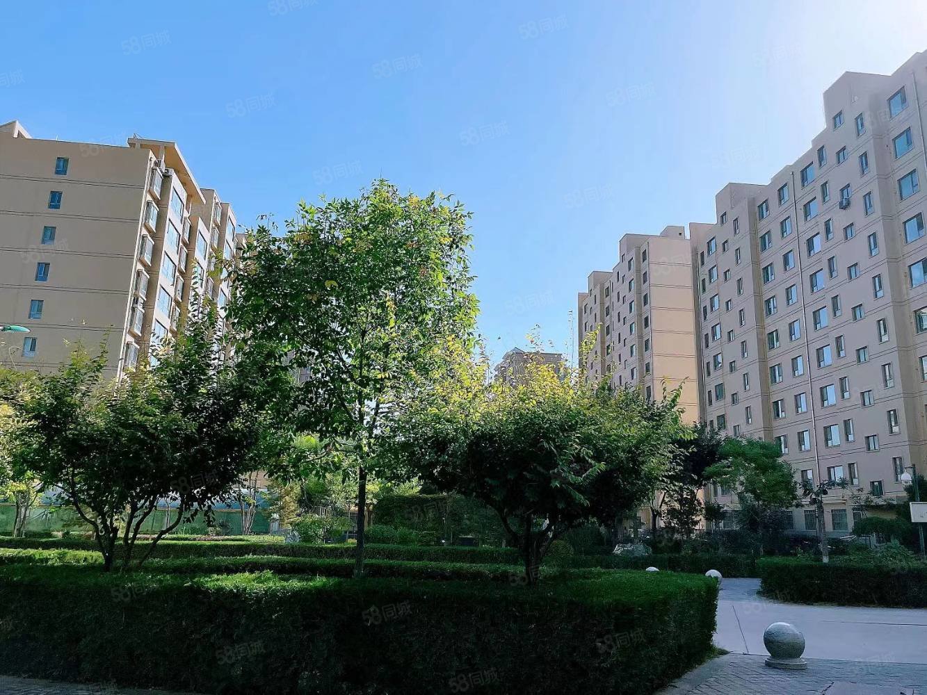 毓秀花园3室2厅1卫129㎡南北52万