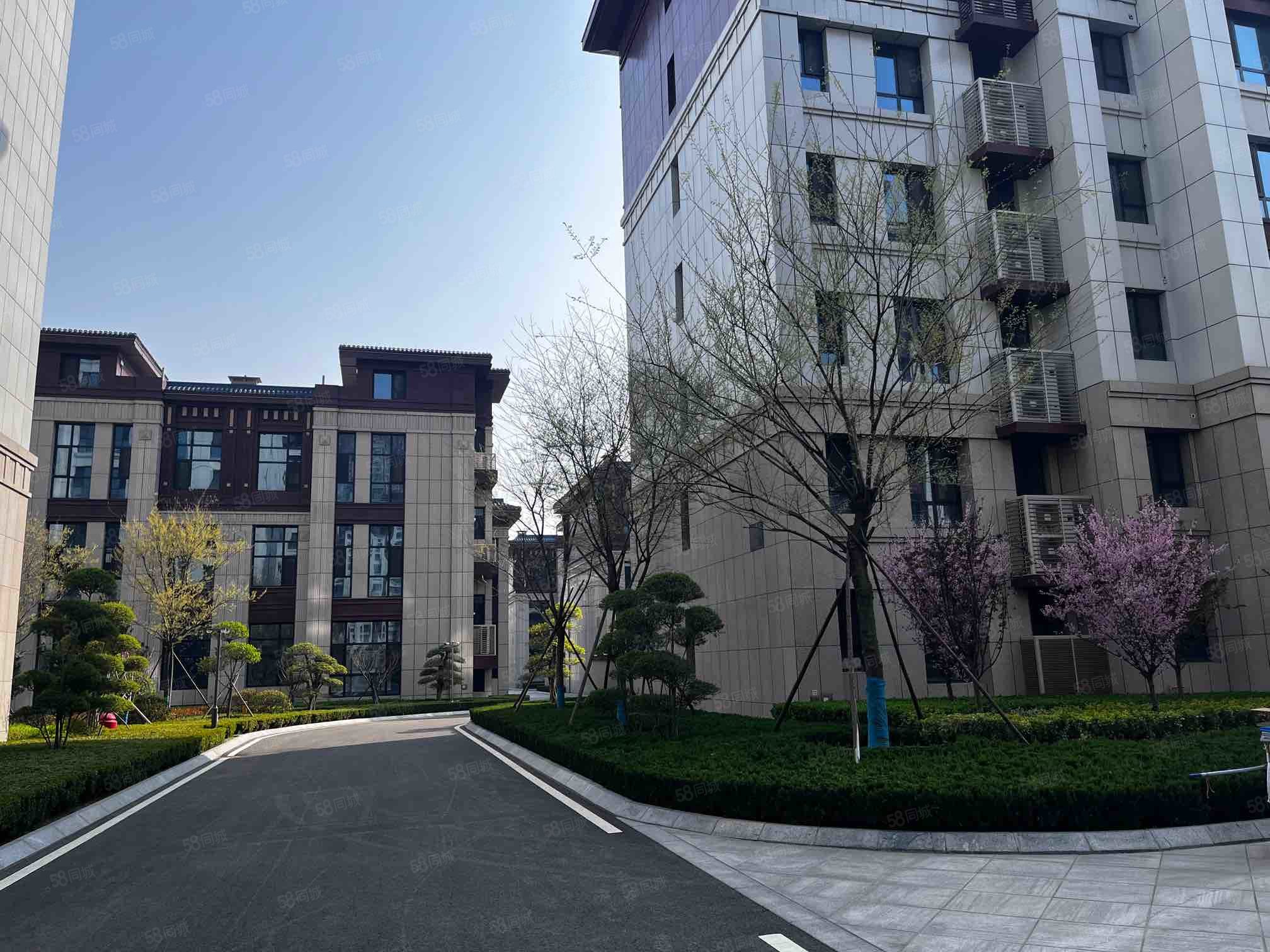 民泰龙泰贵府南区(10-30号)-淄博58同城