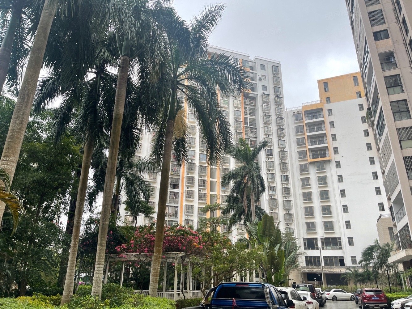 文华市场 少有户型 水云轩 三房 南北通透,水云轩-海口58同城