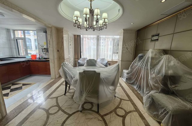 东昌中学 英伦花园叠拼大别墅豪华装修有大院子有车位储免大税