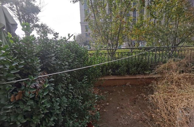 新一中 民生   外国语 度假区实验   市医院分院 培文