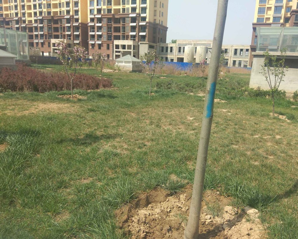 【光明城, 光明城小区详情,房价走势,房源,业主论坛】- 磁县58同城