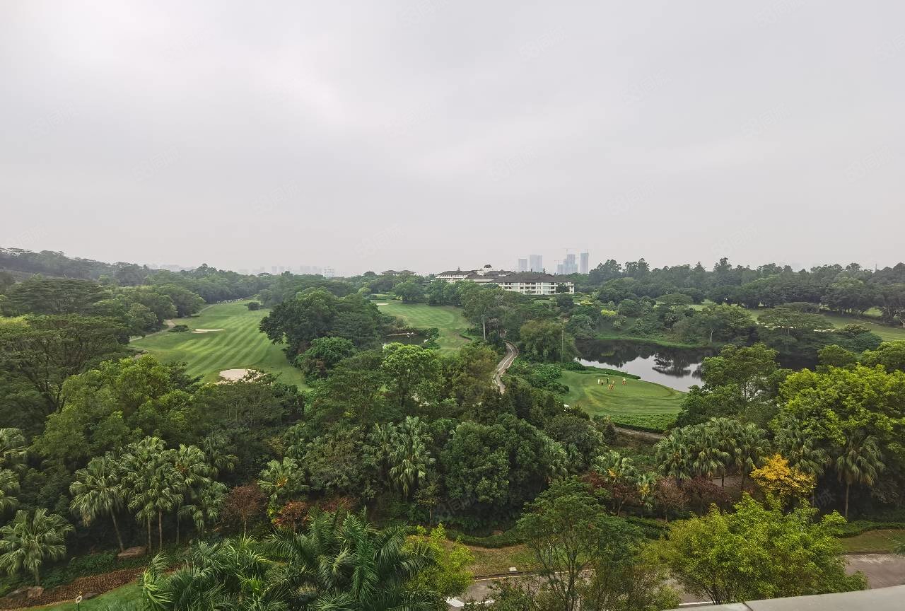 5大房一线高尔夫景,南向精装,观澜湖新城站地铁,观澜豪园观景赛维纳