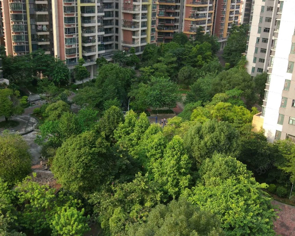 【世纪花城, 世纪花城小区详情,房价走势,房源,业主论坛】- 清远58