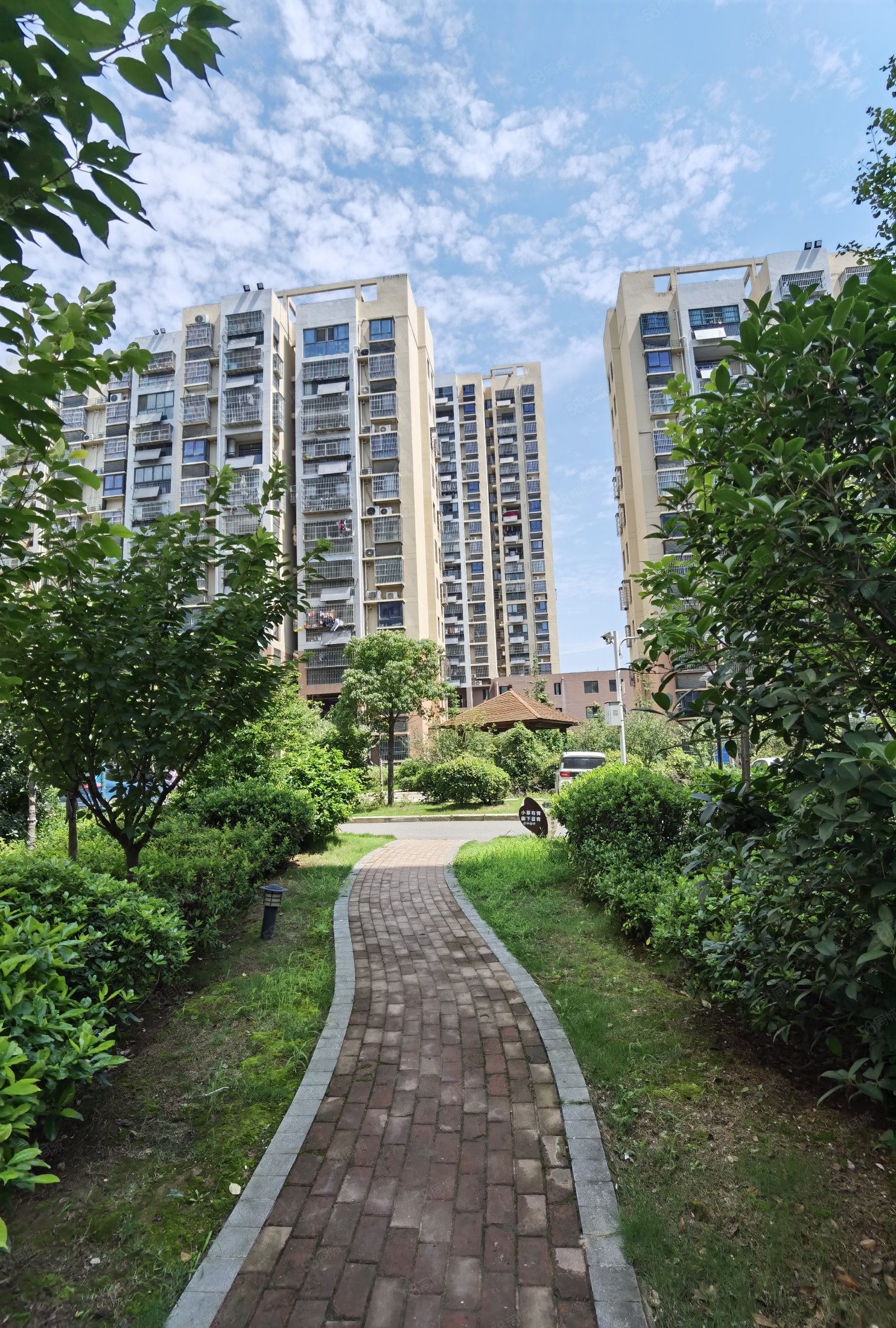 西城西苑3室2厅1卫125.39㎡南北105万