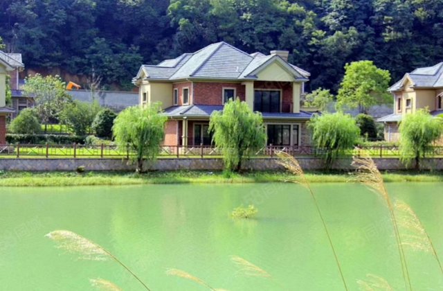 富阳二手房  东洲二手房  精装修排屋 现在出手 无忧  送180平大花园