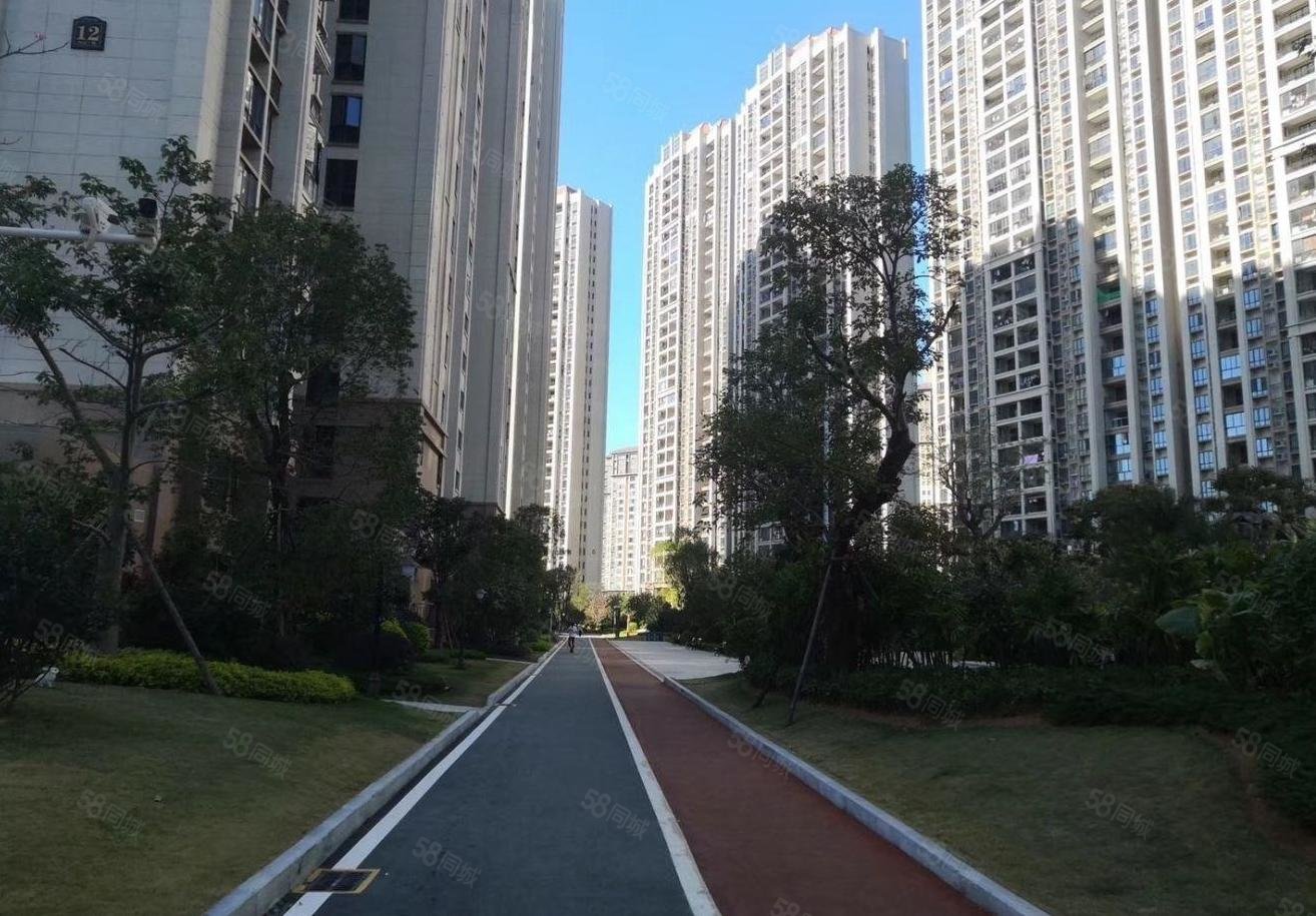 东海湾碧桂园天玺湾家门口就二实小精装通透大4房双主卧