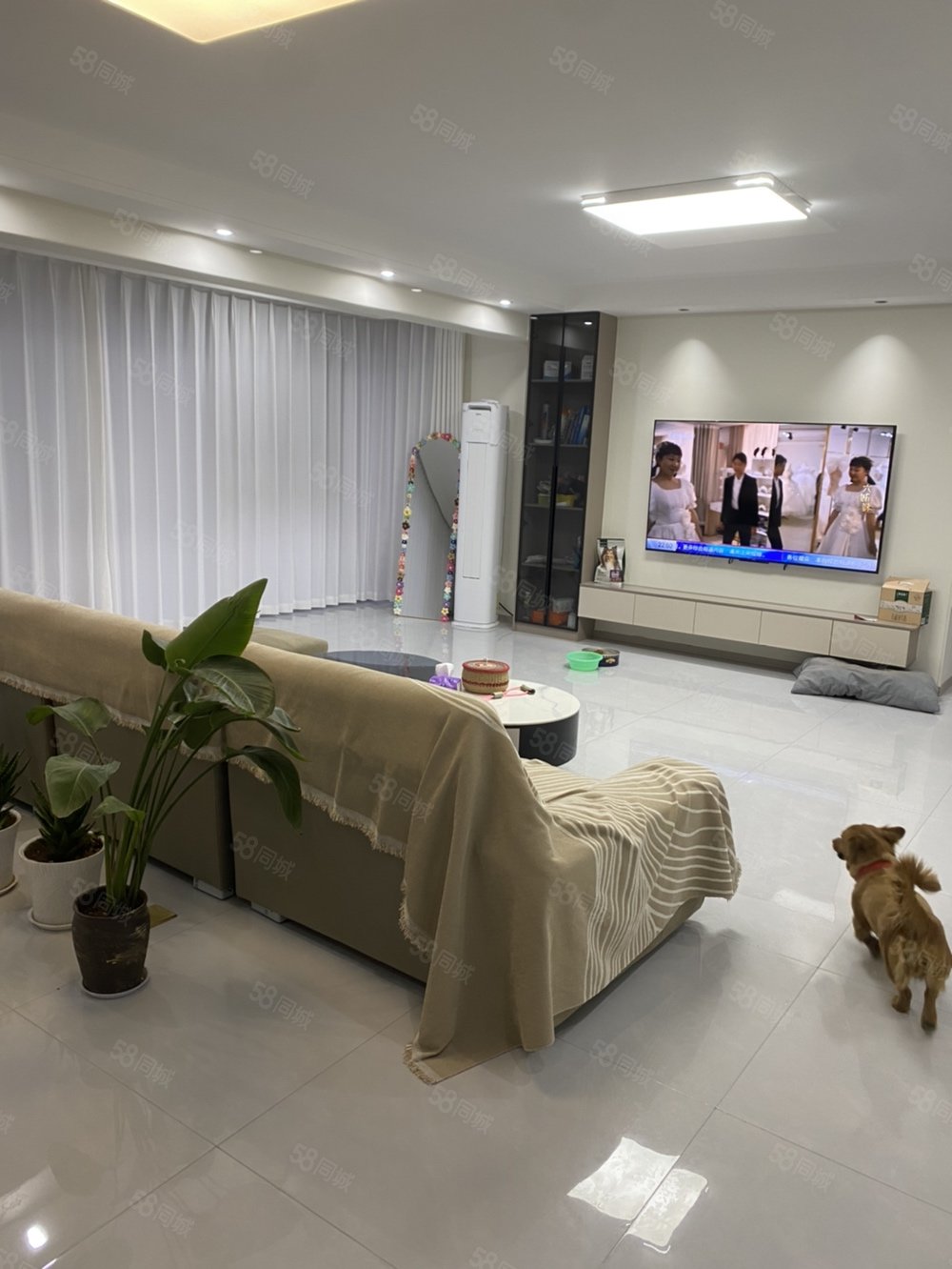 碧桂园凤熹台3室2厅2卫128㎡南北100万