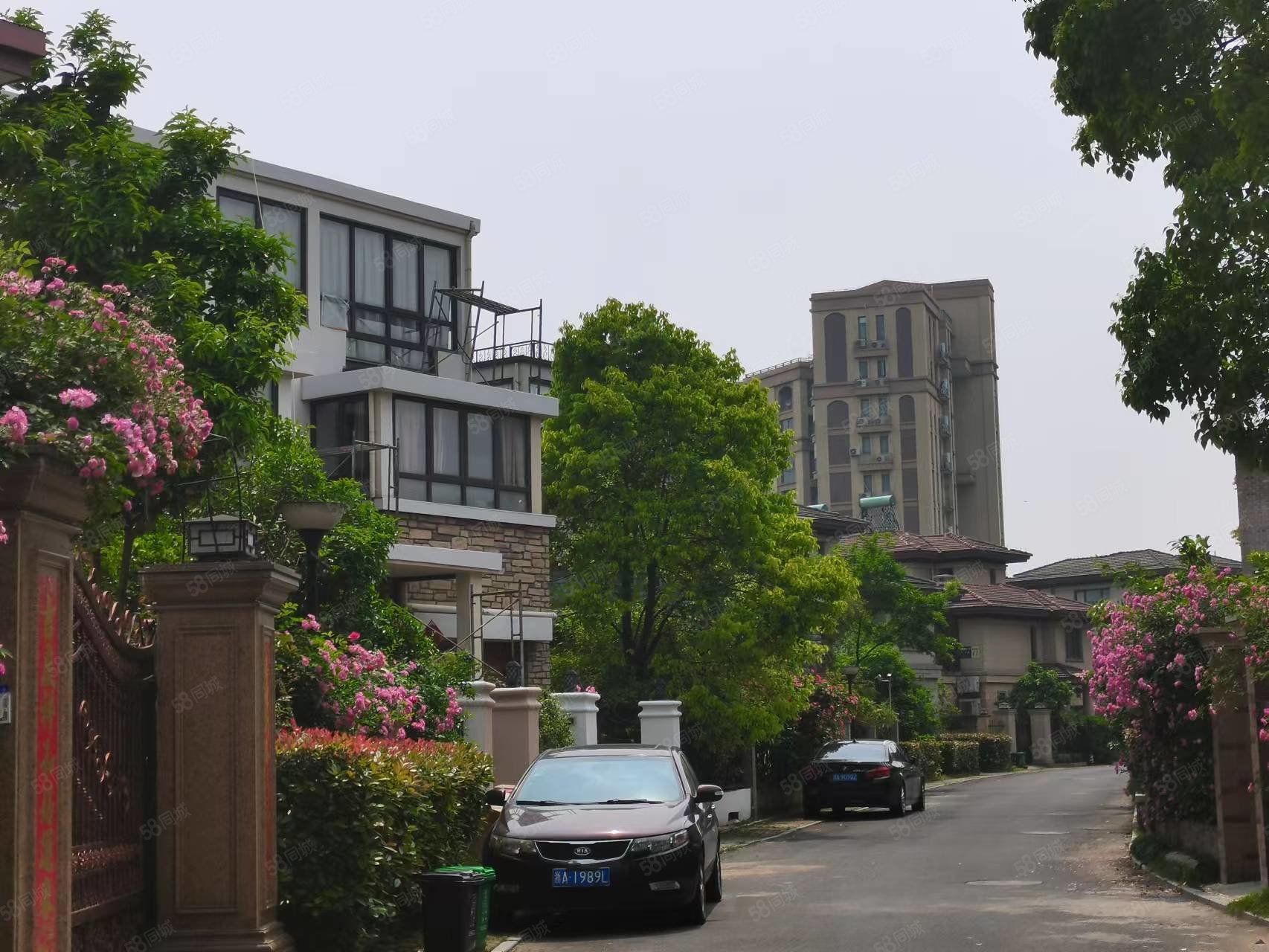 【10图】星星港湾锦豪地产 精装排屋 带车位 拎包入住一口价240随时