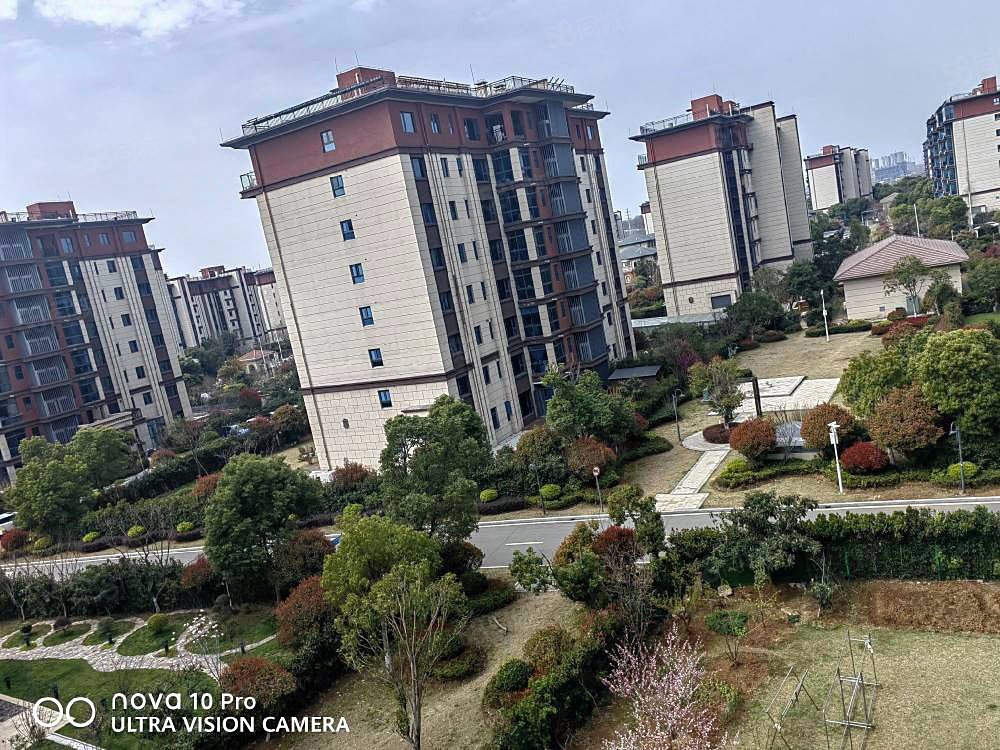 南京碧桂园逸谷苑3室2厅1卫92㎡南北140万