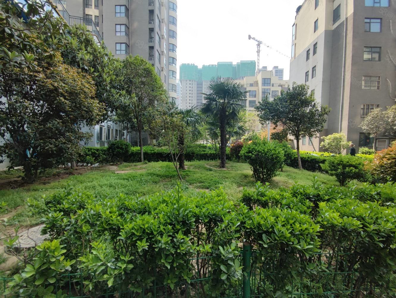 地铁口,2015年小区,双气,看房有钥匙,森林阳光花园-郑州58同城