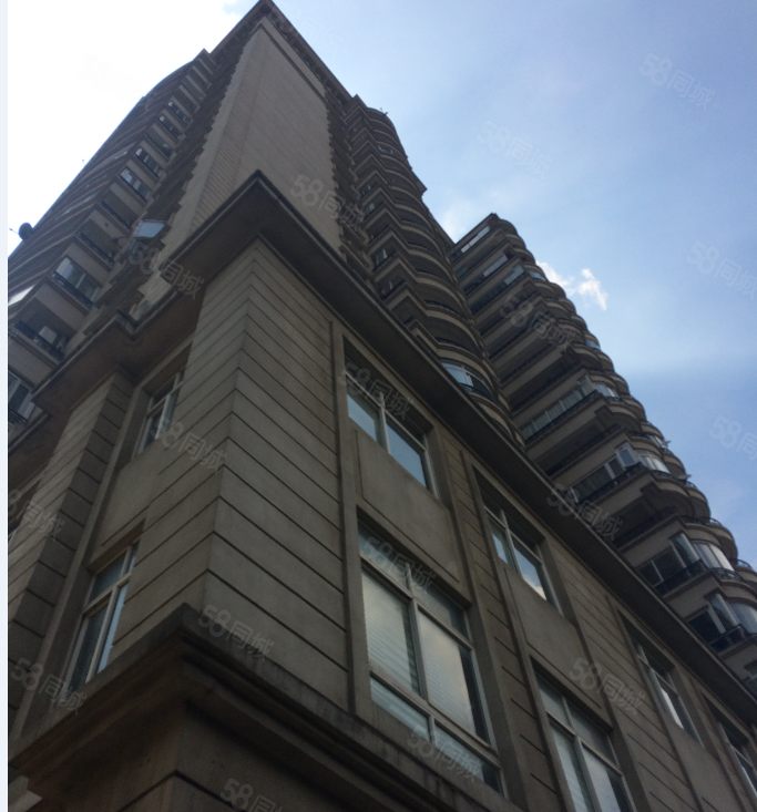 【上海天玺, 上海天玺小区详情,房价走势,房源,业主论坛】- 上海58